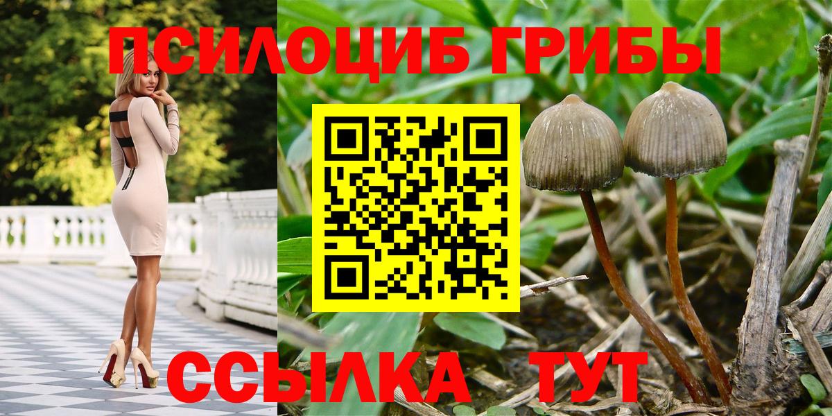Урюпинск  Псилоцибиновые грибы MAGIC MUSHROOMS  Галлюциногенные грибы Psilocybe  Вход с VPN 